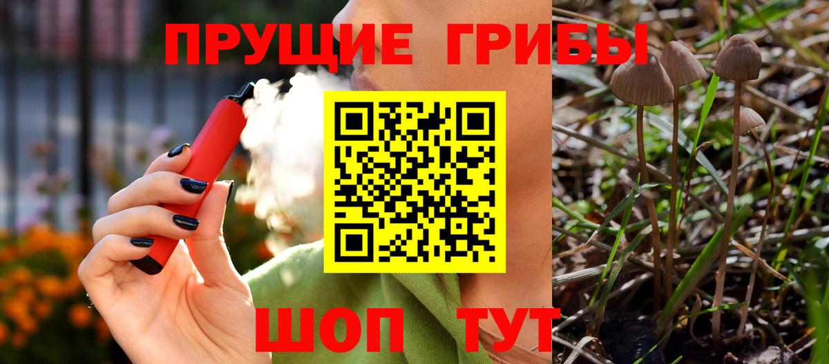 Псилоцибиновые грибы Cubensis  Вход с VPN  Черногорск 